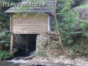 [P30] Morile de apă de pe Valea Rudăriei » foto by Cris
 - 
<span class="allrVoted glyphicon glyphicon-heart hidden" id="av833272"></span>
<a class="m-l-10 hidden" id="sv833272" onclick="voting_Foto_DelVot(,833272,15101)" role="button">șterge vot <span class="glyphicon glyphicon-remove"></span></a>
<a id="v9833272" class=" c-red"  onclick="voting_Foto_SetVot(833272)" role="button"><span class="glyphicon glyphicon-heart-empty"></span> <b>LIKE</b> = Votează poza</a> <img class="hidden"  id="f833272W9" src="/imagini/loader.gif" border="0" /><span class="AjErrMes hidden" id="e833272ErM"></span>