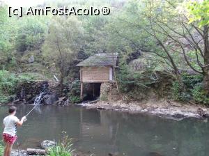 [P31] Morile de apă de pe Valea Rudăriei » foto by Cris
 - 
<span class="allrVoted glyphicon glyphicon-heart hidden" id="av833273"></span>
<a class="m-l-10 hidden" id="sv833273" onclick="voting_Foto_DelVot(,833273,15101)" role="button">șterge vot <span class="glyphicon glyphicon-remove"></span></a>
<a id="v9833273" class=" c-red"  onclick="voting_Foto_SetVot(833273)" role="button"><span class="glyphicon glyphicon-heart-empty"></span> <b>LIKE</b> = Votează poza</a> <img class="hidden"  id="f833273W9" src="/imagini/loader.gif" border="0" /><span class="AjErrMes hidden" id="e833273ErM"></span>