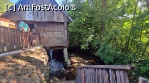 [P17]  -- <small>// FĂRĂ DESCRIERE</small> » foto by pepsi70ro
 - 
<span class="allrVoted glyphicon glyphicon-heart hidden" id="av1491299"></span>
<a class="m-l-10 hidden" id="sv1491299" onclick="voting_Foto_DelVot(,1491299,15101)" role="button">șterge vot <span class="glyphicon glyphicon-remove"></span></a>
<a id="v91491299" class=" c-red"  onclick="voting_Foto_SetVot(1491299)" role="button"><span class="glyphicon glyphicon-heart-empty"></span> <b>LIKE</b> = Votează poza</a> <img class="hidden"  id="f1491299W9" src="/imagini/loader.gif" border="0" /><span class="AjErrMes hidden" id="e1491299ErM"></span>