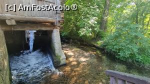 [P18]  -- <small>// FĂRĂ DESCRIERE</small> » foto by pepsi70ro
 - 
<span class="allrVoted glyphicon glyphicon-heart hidden" id="av1491300"></span>
<a class="m-l-10 hidden" id="sv1491300" onclick="voting_Foto_DelVot(,1491300,15101)" role="button">șterge vot <span class="glyphicon glyphicon-remove"></span></a>
<a id="v91491300" class=" c-red"  onclick="voting_Foto_SetVot(1491300)" role="button"><span class="glyphicon glyphicon-heart-empty"></span> <b>LIKE</b> = Votează poza</a> <img class="hidden"  id="f1491300W9" src="/imagini/loader.gif" border="0" /><span class="AjErrMes hidden" id="e1491300ErM"></span>