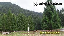 [P78] Poiana Brasov » foto by adryana
 - 
<span class="allrVoted glyphicon glyphicon-heart hidden" id="av144586"></span>
<a class="m-l-10 hidden" id="sv144586" onclick="voting_Foto_DelVot(,144586,15195)" role="button">șterge vot <span class="glyphicon glyphicon-remove"></span></a>
<a id="v9144586" class=" c-red"  onclick="voting_Foto_SetVot(144586)" role="button"><span class="glyphicon glyphicon-heart-empty"></span> <b>LIKE</b> = Votează poza</a> <img class="hidden"  id="f144586W9" src="/imagini/loader.gif" border="0" /><span class="AjErrMes hidden" id="e144586ErM"></span>