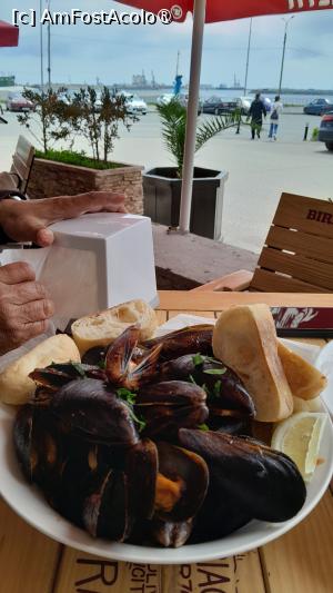 [P15] scoici în sos de vin si vedere spre portul Mangalia » foto by Yolanda
 - 
<span class="allrVoted glyphicon glyphicon-heart hidden" id="av1467655"></span>
<a class="m-l-10 hidden" id="sv1467655" onclick="voting_Foto_DelVot(,1467655,15352)" role="button">șterge vot <span class="glyphicon glyphicon-remove"></span></a>
<a id="v91467655" class=" c-red"  onclick="voting_Foto_SetVot(1467655)" role="button"><span class="glyphicon glyphicon-heart-empty"></span> <b>LIKE</b> = Votează poza</a> <img class="hidden"  id="f1467655W9" src="/imagini/loader.gif" border="0" /><span class="AjErrMes hidden" id="e1467655ErM"></span>