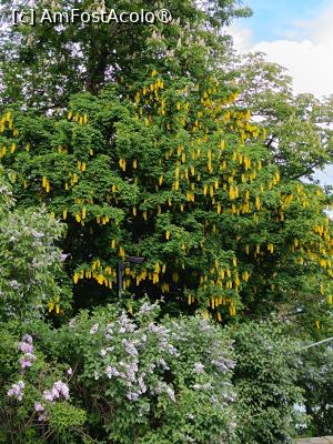 [P43] Oslo, Oscarshall, Flori în Parc » foto by mprofeanu
 - 
<span class="allrVoted glyphicon glyphicon-heart hidden" id="av1523581"></span>
<a class="m-l-10 hidden" id="sv1523581" onclick="voting_Foto_DelVot(,1523581,15474)" role="button">șterge vot <span class="glyphicon glyphicon-remove"></span></a>
<a id="v91523581" class=" c-red"  onclick="voting_Foto_SetVot(1523581)" role="button"><span class="glyphicon glyphicon-heart-empty"></span> <b>LIKE</b> = Votează poza</a> <img class="hidden"  id="f1523581W9" src="/imagini/loader.gif" border="0" /><span class="AjErrMes hidden" id="e1523581ErM"></span>