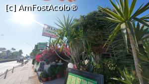 [P16] Unde am mâncat la Ayia Napa - Atlas / terasa » foto by Dragoș_MD
 - 
<span class="allrVoted glyphicon glyphicon-heart hidden" id="av1489374"></span>
<a class="m-l-10 hidden" id="sv1489374" onclick="voting_Foto_DelVot(,1489374,15518)" role="button">șterge vot <span class="glyphicon glyphicon-remove"></span></a>
<a id="v91489374" class=" c-red"  onclick="voting_Foto_SetVot(1489374)" role="button"><span class="glyphicon glyphicon-heart-empty"></span> <b>LIKE</b> = Votează poza</a> <img class="hidden"  id="f1489374W9" src="/imagini/loader.gif" border="0" /><span class="AjErrMes hidden" id="e1489374ErM"></span>
