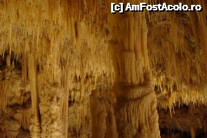 [P07] Castellana Grotte -Caverna Bianca » foto by cristy1200
 - 
<span class="allrVoted glyphicon glyphicon-heart hidden" id="av479621"></span>
<a class="m-l-10 hidden" id="sv479621" onclick="voting_Foto_DelVot(,479621,15648)" role="button">șterge vot <span class="glyphicon glyphicon-remove"></span></a>
<a id="v9479621" class=" c-red"  onclick="voting_Foto_SetVot(479621)" role="button"><span class="glyphicon glyphicon-heart-empty"></span> <b>LIKE</b> = Votează poza</a> <img class="hidden"  id="f479621W9" src="/imagini/loader.gif" border="0" /><span class="AjErrMes hidden" id="e479621ErM"></span>