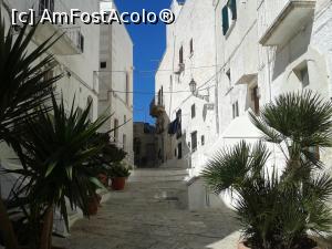 [P30] Stradă în Ostuni » foto by Aurici
 - 
<span class="allrVoted glyphicon glyphicon-heart hidden" id="av743958"></span>
<a class="m-l-10 hidden" id="sv743958" onclick="voting_Foto_DelVot(,743958,15648)" role="button">șterge vot <span class="glyphicon glyphicon-remove"></span></a>
<a id="v9743958" class=" c-red"  onclick="voting_Foto_SetVot(743958)" role="button"><span class="glyphicon glyphicon-heart-empty"></span> <b>LIKE</b> = Votează poza</a> <img class="hidden"  id="f743958W9" src="/imagini/loader.gif" border="0" /><span class="AjErrMes hidden" id="e743958ErM"></span>