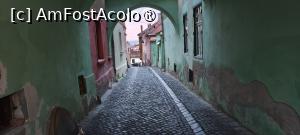 [P04]  -- <small>// FĂRĂ DESCRIERE</small> » foto by cristimicle
 - 
<span class="allrVoted glyphicon glyphicon-heart hidden" id="av1510131"></span>
<a class="m-l-10 hidden" id="sv1510131" onclick="voting_Foto_DelVot(,1510131,16103)" role="button">șterge vot <span class="glyphicon glyphicon-remove"></span></a>
<a id="v91510131" class=" c-red"  onclick="voting_Foto_SetVot(1510131)" role="button"><span class="glyphicon glyphicon-heart-empty"></span> <b>LIKE</b> = Votează poza</a> <img class="hidden"  id="f1510131W9" src="/imagini/loader.gif" border="0" /><span class="AjErrMes hidden" id="e1510131ErM"></span>