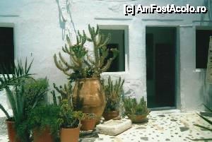 [P37] Cactusi din insula in fata unei porti in Oia » foto by mireille
 - 
<span class="allrVoted glyphicon glyphicon-heart hidden" id="av447250"></span>
<a class="m-l-10 hidden" id="sv447250" onclick="voting_Foto_DelVot(,447250,16213)" role="button">șterge vot <span class="glyphicon glyphicon-remove"></span></a>
<a id="v9447250" class=" c-red"  onclick="voting_Foto_SetVot(447250)" role="button"><span class="glyphicon glyphicon-heart-empty"></span> <b>LIKE</b> = Votează poza</a> <img class="hidden"  id="f447250W9" src="/imagini/loader.gif" border="0" /><span class="AjErrMes hidden" id="e447250ErM"></span>