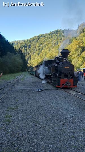 [P02] Mocanita - Viseu » foto by AMC
 - 
<span class="allrVoted glyphicon glyphicon-heart hidden" id="av1501952"></span>
<a class="m-l-10 hidden" id="sv1501952" onclick="voting_Foto_DelVot(,1501952,16290)" role="button">șterge vot <span class="glyphicon glyphicon-remove"></span></a>
<a id="v91501952" class=" c-red"  onclick="voting_Foto_SetVot(1501952)" role="button"><span class="glyphicon glyphicon-heart-empty"></span> <b>LIKE</b> = Votează poza</a> <img class="hidden"  id="f1501952W9" src="/imagini/loader.gif" border="0" /><span class="AjErrMes hidden" id="e1501952ErM"></span>