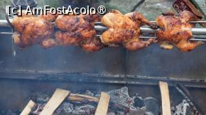 [P40] Pomana porcului pentru cei care vor pui  :) » foto by pepsi70ro
 - 
<span class="allrVoted glyphicon glyphicon-heart hidden" id="av1513214"></span>
<a class="m-l-10 hidden" id="sv1513214" onclick="voting_Foto_DelVot(,1513214,16293)" role="button">șterge vot <span class="glyphicon glyphicon-remove"></span></a>
<a id="v91513214" class=" c-red"  onclick="voting_Foto_SetVot(1513214)" role="button"><span class="glyphicon glyphicon-heart-empty"></span> <b>LIKE</b> = Votează poza</a> <img class="hidden"  id="f1513214W9" src="/imagini/loader.gif" border="0" /><span class="AjErrMes hidden" id="e1513214ErM"></span>