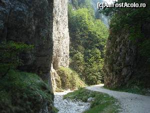 [P12] - CHEILE ZARNESTILOR » foto by Lord2014*
 - 
<span class="allrVoted glyphicon glyphicon-heart hidden" id="av576207"></span>
<a class="m-l-10 hidden" id="sv576207" onclick="voting_Foto_DelVot(,576207,16322)" role="button">șterge vot <span class="glyphicon glyphicon-remove"></span></a>
<a id="v9576207" class=" c-red"  onclick="voting_Foto_SetVot(576207)" role="button"><span class="glyphicon glyphicon-heart-empty"></span> <b>LIKE</b> = Votează poza</a> <img class="hidden"  id="f576207W9" src="/imagini/loader.gif" border="0" /><span class="AjErrMes hidden" id="e576207ErM"></span>