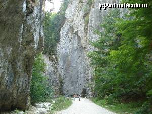 [P13] - CHEILE ZARNESTILOR » foto by Lord2014*
 - 
<span class="allrVoted glyphicon glyphicon-heart hidden" id="av576208"></span>
<a class="m-l-10 hidden" id="sv576208" onclick="voting_Foto_DelVot(,576208,16322)" role="button">șterge vot <span class="glyphicon glyphicon-remove"></span></a>
<a id="v9576208" class=" c-red"  onclick="voting_Foto_SetVot(576208)" role="button"><span class="glyphicon glyphicon-heart-empty"></span> <b>LIKE</b> = Votează poza</a> <img class="hidden"  id="f576208W9" src="/imagini/loader.gif" border="0" /><span class="AjErrMes hidden" id="e576208ErM"></span>