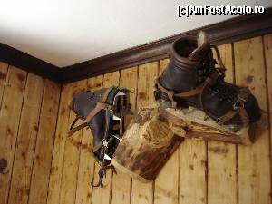 [P25]  -- <small>// FĂRĂ DESCRIERE</small> » foto by Lord2014*
 - 
<span class="allrVoted glyphicon glyphicon-heart hidden" id="av576224"></span>
<a class="m-l-10 hidden" id="sv576224" onclick="voting_Foto_DelVot(,576224,16322)" role="button">șterge vot <span class="glyphicon glyphicon-remove"></span></a>
<a id="v9576224" class=" c-red"  onclick="voting_Foto_SetVot(576224)" role="button"><span class="glyphicon glyphicon-heart-empty"></span> <b>LIKE</b> = Votează poza</a> <img class="hidden"  id="f576224W9" src="/imagini/loader.gif" border="0" /><span class="AjErrMes hidden" id="e576224ErM"></span>