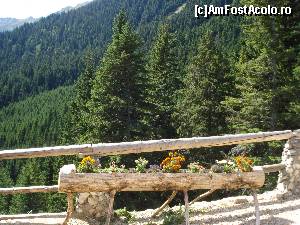 [P27]  -- <small>// FĂRĂ DESCRIERE</small> » foto by Lord2014*
 - 
<span class="allrVoted glyphicon glyphicon-heart hidden" id="av576226"></span>
<a class="m-l-10 hidden" id="sv576226" onclick="voting_Foto_DelVot(,576226,16322)" role="button">șterge vot <span class="glyphicon glyphicon-remove"></span></a>
<a id="v9576226" class=" c-red"  onclick="voting_Foto_SetVot(576226)" role="button"><span class="glyphicon glyphicon-heart-empty"></span> <b>LIKE</b> = Votează poza</a> <img class="hidden"  id="f576226W9" src="/imagini/loader.gif" border="0" /><span class="AjErrMes hidden" id="e576226ErM"></span>