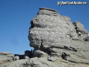 [P30]  -- <small>// FĂRĂ DESCRIERE</small> » foto by Lord2014*
 - 
<span class="allrVoted glyphicon glyphicon-heart hidden" id="av576230"></span>
<a class="m-l-10 hidden" id="sv576230" onclick="voting_Foto_DelVot(,576230,16322)" role="button">șterge vot <span class="glyphicon glyphicon-remove"></span></a>
<a id="v9576230" class=" c-red"  onclick="voting_Foto_SetVot(576230)" role="button"><span class="glyphicon glyphicon-heart-empty"></span> <b>LIKE</b> = Votează poza</a> <img class="hidden"  id="f576230W9" src="/imagini/loader.gif" border="0" /><span class="AjErrMes hidden" id="e576230ErM"></span>