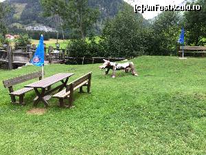 [P11] Parcul de distractii de la baza Cascadei Fallbach » foto by Aurici
 - 
<span class="allrVoted glyphicon glyphicon-heart hidden" id="av591919"></span>
<a class="m-l-10 hidden" id="sv591919" onclick="voting_Foto_DelVot(,591919,16402)" role="button">șterge vot <span class="glyphicon glyphicon-remove"></span></a>
<a id="v9591919" class=" c-red"  onclick="voting_Foto_SetVot(591919)" role="button"><span class="glyphicon glyphicon-heart-empty"></span> <b>LIKE</b> = Votează poza</a> <img class="hidden"  id="f591919W9" src="/imagini/loader.gif" border="0" /><span class="AjErrMes hidden" id="e591919ErM"></span>