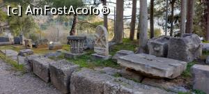 [P40] Ofrande care impodobesc Calea Sacra din Sanctuarul de la Delphi. » foto by ovidiuyepi
 - 
<span class="allrVoted glyphicon glyphicon-heart hidden" id="av1313217"></span>
<a class="m-l-10 hidden" id="sv1313217" onclick="voting_Foto_DelVot(,1313217,16497)" role="button">șterge vot <span class="glyphicon glyphicon-remove"></span></a>
<a id="v91313217" class=" c-red"  onclick="voting_Foto_SetVot(1313217)" role="button"><span class="glyphicon glyphicon-heart-empty"></span> <b>LIKE</b> = Votează poza</a> <img class="hidden"  id="f1313217W9" src="/imagini/loader.gif" border="0" /><span class="AjErrMes hidden" id="e1313217ErM"></span>