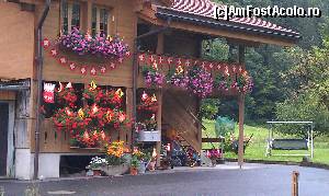 [P11] Pensiune din satul Lauterbrunnen, Alpii Bernezi, Elveția.  » foto by traian.leuca †
 - 
<span class="allrVoted glyphicon glyphicon-heart hidden" id="av592483"></span>
<a class="m-l-10 hidden" id="sv592483" onclick="voting_Foto_DelVot(,592483,16501)" role="button">șterge vot <span class="glyphicon glyphicon-remove"></span></a>
<a id="v9592483" class=" c-red"  onclick="voting_Foto_SetVot(592483)" role="button"><span class="glyphicon glyphicon-heart-empty"></span> <b>LIKE</b> = Votează poza</a> <img class="hidden"  id="f592483W9" src="/imagini/loader.gif" border="0" /><span class="AjErrMes hidden" id="e592483ErM"></span>