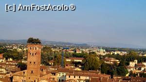 P14 [OCT-2023] Torre Guinigi văzut din Torre delle Ore