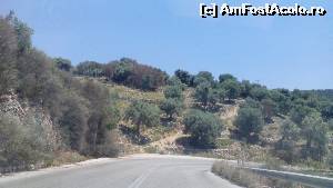 [P30] Plantație de măslini între Nidri și Vasiliki » foto by costy69*
 - 
<span class="allrVoted glyphicon glyphicon-heart hidden" id="av657027"></span>
<a class="m-l-10 hidden" id="sv657027" onclick="voting_Foto_DelVot(,657027,16678)" role="button">șterge vot <span class="glyphicon glyphicon-remove"></span></a>
<a id="v9657027" class=" c-red"  onclick="voting_Foto_SetVot(657027)" role="button"><span class="glyphicon glyphicon-heart-empty"></span> <b>LIKE</b> = Votează poza</a> <img class="hidden"  id="f657027W9" src="/imagini/loader.gif" border="0" /><span class="AjErrMes hidden" id="e657027ErM"></span>