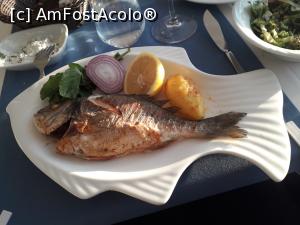 [P06] Dorada delicioasa la restaurantul pescaresc » foto by Roberta21
 - 
<span class="allrVoted glyphicon glyphicon-heart hidden" id="av1085250"></span>
<a class="m-l-10 hidden" id="sv1085250" onclick="voting_Foto_DelVot(,1085250,16873)" role="button">șterge vot <span class="glyphicon glyphicon-remove"></span></a>
<a id="v91085250" class=" c-red"  onclick="voting_Foto_SetVot(1085250)" role="button"><span class="glyphicon glyphicon-heart-empty"></span> <b>LIKE</b> = Votează poza</a> <img class="hidden"  id="f1085250W9" src="/imagini/loader.gif" border="0" /><span class="AjErrMes hidden" id="e1085250ErM"></span>