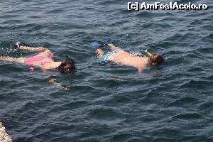 [P10] snorkeling » foto by icata24
 - 
<span class="allrVoted glyphicon glyphicon-heart hidden" id="av539369"></span>
<a class="m-l-10 hidden" id="sv539369" onclick="voting_Foto_DelVot(,539369,17058)" role="button">șterge vot <span class="glyphicon glyphicon-remove"></span></a>
<a id="v9539369" class=" c-red"  onclick="voting_Foto_SetVot(539369)" role="button"><span class="glyphicon glyphicon-heart-empty"></span> <b>LIKE</b> = Votează poza</a> <img class="hidden"  id="f539369W9" src="/imagini/loader.gif" border="0" /><span class="AjErrMes hidden" id="e539369ErM"></span>