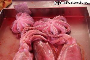 [P14]  -- <small>// FĂRĂ DESCRIERE</small> » foto by icata24
 - 
<span class="allrVoted glyphicon glyphicon-heart hidden" id="av539373"></span>
<a class="m-l-10 hidden" id="sv539373" onclick="voting_Foto_DelVot(,539373,17058)" role="button">șterge vot <span class="glyphicon glyphicon-remove"></span></a>
<a id="v9539373" class=" c-red"  onclick="voting_Foto_SetVot(539373)" role="button"><span class="glyphicon glyphicon-heart-empty"></span> <b>LIKE</b> = Votează poza</a> <img class="hidden"  id="f539373W9" src="/imagini/loader.gif" border="0" /><span class="AjErrMes hidden" id="e539373ErM"></span>