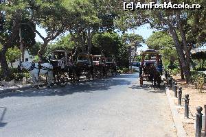 [P18] In Mdina » foto by icata24
 - 
<span class="allrVoted glyphicon glyphicon-heart hidden" id="av539377"></span>
<a class="m-l-10 hidden" id="sv539377" onclick="voting_Foto_DelVot(,539377,17058)" role="button">șterge vot <span class="glyphicon glyphicon-remove"></span></a>
<a id="v9539377" class=" c-red"  onclick="voting_Foto_SetVot(539377)" role="button"><span class="glyphicon glyphicon-heart-empty"></span> <b>LIKE</b> = Votează poza</a> <img class="hidden"  id="f539377W9" src="/imagini/loader.gif" border="0" /><span class="AjErrMes hidden" id="e539377ErM"></span>