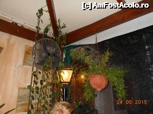 [P15] Castello Restaurant - Terasa frumos împodobită cu plante.  » foto by iulianic
 - 
<span class="allrVoted glyphicon glyphicon-heart hidden" id="av678793"></span>
<a class="m-l-10 hidden" id="sv678793" onclick="voting_Foto_DelVot(,678793,17099)" role="button">șterge vot <span class="glyphicon glyphicon-remove"></span></a>
<a id="v9678793" class=" c-red"  onclick="voting_Foto_SetVot(678793)" role="button"><span class="glyphicon glyphicon-heart-empty"></span> <b>LIKE</b> = Votează poza</a> <img class="hidden"  id="f678793W9" src="/imagini/loader.gif" border="0" /><span class="AjErrMes hidden" id="e678793ErM"></span>