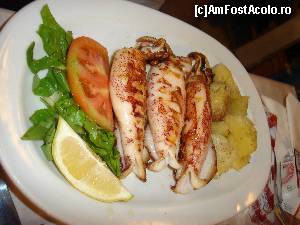 [P01] Calamari la gratar la taverna To Souli.  » foto by Giorgios
 - 
<span class="allrVoted glyphicon glyphicon-heart hidden" id="av670353"></span>
<a class="m-l-10 hidden" id="sv670353" onclick="voting_Foto_DelVot(,670353,17099)" role="button">șterge vot <span class="glyphicon glyphicon-remove"></span></a>
<a id="v9670353" class=" c-red"  onclick="voting_Foto_SetVot(670353)" role="button"><span class="glyphicon glyphicon-heart-empty"></span> <b>LIKE</b> = Votează poza</a> <img class="hidden"  id="f670353W9" src="/imagini/loader.gif" border="0" /><span class="AjErrMes hidden" id="e670353ErM"></span>