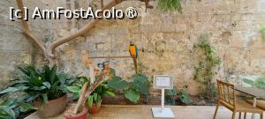 [P86] Curtea interioară cu câțiva copăcei, Kiko al III-lea și regulile înlegătură cu acesta » foto by irinad
 - 
<span class="allrVoted glyphicon glyphicon-heart hidden" id="av1515467"></span>
<a class="m-l-10 hidden" id="sv1515467" onclick="voting_Foto_DelVot(,1515467,17454)" role="button">șterge vot <span class="glyphicon glyphicon-remove"></span></a>
<a id="v91515467" class=" c-red"  onclick="voting_Foto_SetVot(1515467)" role="button"><span class="glyphicon glyphicon-heart-empty"></span> <b>LIKE</b> = Votează poza</a> <img class="hidden"  id="f1515467W9" src="/imagini/loader.gif" border="0" /><span class="AjErrMes hidden" id="e1515467ErM"></span>