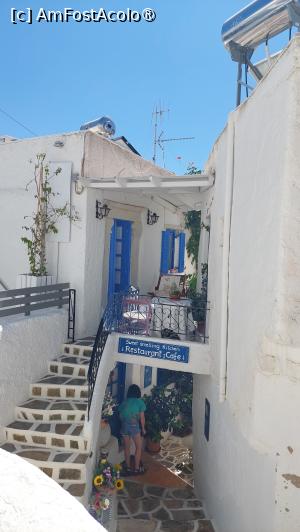 [P31] Lefkes, unul din faimoasele sate din Paros » foto by Carmen Ion
 - 
<span class="allrVoted glyphicon glyphicon-heart hidden" id="av1420382"></span>
<a class="m-l-10 hidden" id="sv1420382" onclick="voting_Foto_DelVot(,1420382,17461)" role="button">șterge vot <span class="glyphicon glyphicon-remove"></span></a>
<a id="v91420382" class=" c-red"  onclick="voting_Foto_SetVot(1420382)" role="button"><span class="glyphicon glyphicon-heart-empty"></span> <b>LIKE</b> = Votează poza</a> <img class="hidden"  id="f1420382W9" src="/imagini/loader.gif" border="0" /><span class="AjErrMes hidden" id="e1420382ErM"></span>