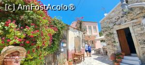 [P22] Naxos, la pas prin satul Chalki » foto by irinad
 - 
<span class="allrVoted glyphicon glyphicon-heart hidden" id="av1526112"></span>
<a class="m-l-10 hidden" id="sv1526112" onclick="voting_Foto_DelVot(,1526112,17461)" role="button">șterge vot <span class="glyphicon glyphicon-remove"></span></a>
<a id="v91526112" class=" c-red"  onclick="voting_Foto_SetVot(1526112)" role="button"><span class="glyphicon glyphicon-heart-empty"></span> <b>LIKE</b> = Votează poza</a> <img class="hidden"  id="f1526112W9" src="/imagini/loader.gif" border="0" /><span class="AjErrMes hidden" id="e1526112ErM"></span>