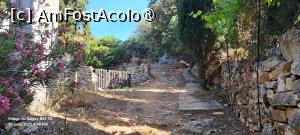 [P36] Poteca de pământ dintre cele două statui » foto by irinad
 - 
<span class="allrVoted glyphicon glyphicon-heart hidden" id="av1526126"></span>
<a class="m-l-10 hidden" id="sv1526126" onclick="voting_Foto_DelVot(,1526126,17461)" role="button">șterge vot <span class="glyphicon glyphicon-remove"></span></a>
<a id="v91526126" class=" c-red"  onclick="voting_Foto_SetVot(1526126)" role="button"><span class="glyphicon glyphicon-heart-empty"></span> <b>LIKE</b> = Votează poza</a> <img class="hidden"  id="f1526126W9" src="/imagini/loader.gif" border="0" /><span class="AjErrMes hidden" id="e1526126ErM"></span>