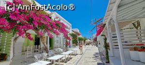 [P91] La pas prin Pounda, Antiparos » foto by irinad
 - 
<span class="allrVoted glyphicon glyphicon-heart hidden" id="av1526181"></span>
<a class="m-l-10 hidden" id="sv1526181" onclick="voting_Foto_DelVot(,1526181,17461)" role="button">șterge vot <span class="glyphicon glyphicon-remove"></span></a>
<a id="v91526181" class=" c-red"  onclick="voting_Foto_SetVot(1526181)" role="button"><span class="glyphicon glyphicon-heart-empty"></span> <b>LIKE</b> = Votează poza</a> <img class="hidden"  id="f1526181W9" src="/imagini/loader.gif" border="0" /><span class="AjErrMes hidden" id="e1526181ErM"></span>