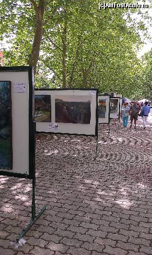 [P24] Expozitia de pictura din targ.  » foto by alinaro
 - 
<span class="allrVoted glyphicon glyphicon-heart hidden" id="av556312"></span>
<a class="m-l-10 hidden" id="sv556312" onclick="voting_Foto_DelVot(,556312,17465)" role="button">șterge vot <span class="glyphicon glyphicon-remove"></span></a>
<a id="v9556312" class=" c-red"  onclick="voting_Foto_SetVot(556312)" role="button"><span class="glyphicon glyphicon-heart-empty"></span> <b>LIKE</b> = Votează poza</a> <img class="hidden"  id="f556312W9" src="/imagini/loader.gif" border="0" /><span class="AjErrMes hidden" id="e556312ErM"></span>
