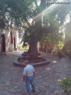 [P01] Paleos Pantelimonas. Platanul batran » foto by ovidiuyepi
 - 
<span class="allrVoted glyphicon glyphicon-heart hidden" id="av549198"></span>
<a class="m-l-10 hidden" id="sv549198" onclick="voting_Foto_DelVot(,549198,17499)" role="button">șterge vot <span class="glyphicon glyphicon-remove"></span></a>
<a id="v9549198" class=" c-red"  onclick="voting_Foto_SetVot(549198)" role="button"><span class="glyphicon glyphicon-heart-empty"></span> <b>LIKE</b> = Votează poza</a> <img class="hidden"  id="f549198W9" src="/imagini/loader.gif" border="0" /><span class="AjErrMes hidden" id="e549198ErM"></span>