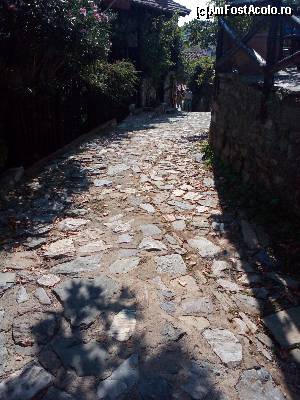 [P06] Paleos Pantelimonas. Timpul s-a oprit in loc.  » foto by ovidiuyepi
 - 
<span class="allrVoted glyphicon glyphicon-heart hidden" id="av549203"></span>
<a class="m-l-10 hidden" id="sv549203" onclick="voting_Foto_DelVot(,549203,17499)" role="button">șterge vot <span class="glyphicon glyphicon-remove"></span></a>
<a id="v9549203" class=" c-red"  onclick="voting_Foto_SetVot(549203)" role="button"><span class="glyphicon glyphicon-heart-empty"></span> <b>LIKE</b> = Votează poza</a> <img class="hidden"  id="f549203W9" src="/imagini/loader.gif" border="0" /><span class="AjErrMes hidden" id="e549203ErM"></span>