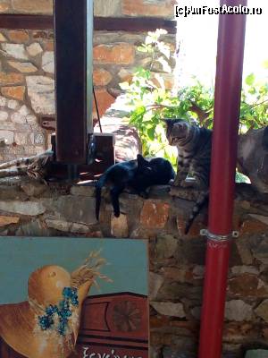 [P07] Paleos Pantelimonas. Atracții turistice.  » foto by ovidiuyepi
 - 
<span class="allrVoted glyphicon glyphicon-heart hidden" id="av549204"></span>
<a class="m-l-10 hidden" id="sv549204" onclick="voting_Foto_DelVot(,549204,17499)" role="button">șterge vot <span class="glyphicon glyphicon-remove"></span></a>
<a id="v9549204" class=" c-red"  onclick="voting_Foto_SetVot(549204)" role="button"><span class="glyphicon glyphicon-heart-empty"></span> <b>LIKE</b> = Votează poza</a> <img class="hidden"  id="f549204W9" src="/imagini/loader.gif" border="0" /><span class="AjErrMes hidden" id="e549204ErM"></span>