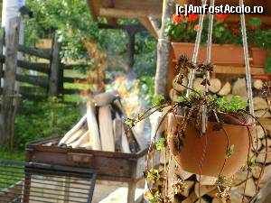 [P01] La Cabana Foresta » foto by Testosu'
 - 
<span class="allrVoted glyphicon glyphicon-heart hidden" id="av559769"></span>
<a class="m-l-10 hidden" id="sv559769" onclick="voting_Foto_DelVot(,559769,17530)" role="button">șterge vot <span class="glyphicon glyphicon-remove"></span></a>
<a id="v9559769" class=" c-red"  onclick="voting_Foto_SetVot(559769)" role="button"><span class="glyphicon glyphicon-heart-empty"></span> <b>LIKE</b> = Votează poza</a> <img class="hidden"  id="f559769W9" src="/imagini/loader.gif" border="0" /><span class="AjErrMes hidden" id="e559769ErM"></span>