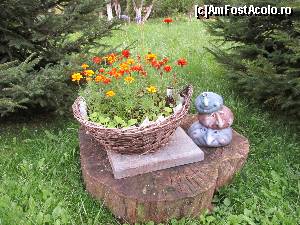 [P12] In curtea cabanei » foto by Testosu'
 - 
<span class="allrVoted glyphicon glyphicon-heart hidden" id="av559780"></span>
<a class="m-l-10 hidden" id="sv559780" onclick="voting_Foto_DelVot(,559780,17530)" role="button">șterge vot <span class="glyphicon glyphicon-remove"></span></a>
<a id="v9559780" class=" c-red"  onclick="voting_Foto_SetVot(559780)" role="button"><span class="glyphicon glyphicon-heart-empty"></span> <b>LIKE</b> = Votează poza</a> <img class="hidden"  id="f559780W9" src="/imagini/loader.gif" border="0" /><span class="AjErrMes hidden" id="e559780ErM"></span>