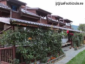 [P16] Cabana Foresta » foto by Testosu'
 - 
<span class="allrVoted glyphicon glyphicon-heart hidden" id="av559785"></span>
<a class="m-l-10 hidden" id="sv559785" onclick="voting_Foto_DelVot(,559785,17530)" role="button">șterge vot <span class="glyphicon glyphicon-remove"></span></a>
<a id="v9559785" class=" c-red"  onclick="voting_Foto_SetVot(559785)" role="button"><span class="glyphicon glyphicon-heart-empty"></span> <b>LIKE</b> = Votează poza</a> <img class="hidden"  id="f559785W9" src="/imagini/loader.gif" border="0" /><span class="AjErrMes hidden" id="e559785ErM"></span>