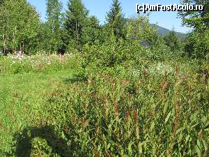 [P27]  -- <small>// FĂRĂ DESCRIERE</small> » foto by Testosu'
 - 
<span class="allrVoted glyphicon glyphicon-heart hidden" id="av559800"></span>
<a class="m-l-10 hidden" id="sv559800" onclick="voting_Foto_DelVot(,559800,17530)" role="button">șterge vot <span class="glyphicon glyphicon-remove"></span></a>
<a id="v9559800" class=" c-red"  onclick="voting_Foto_SetVot(559800)" role="button"><span class="glyphicon glyphicon-heart-empty"></span> <b>LIKE</b> = Votează poza</a> <img class="hidden"  id="f559800W9" src="/imagini/loader.gif" border="0" /><span class="AjErrMes hidden" id="e559800ErM"></span>