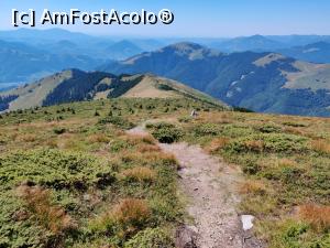 [P11] Vârful Cobășel (1835m) și Vârful Roșu(2113m) din Munții Rodnei » foto by Dana2008
 - 
<span class="allrVoted glyphicon glyphicon-heart hidden" id="av1195712"></span>
<a class="m-l-10 hidden" id="sv1195712" onclick="voting_Foto_DelVot(,1195712,17545)" role="button">șterge vot <span class="glyphicon glyphicon-remove"></span></a>
<a id="v91195712" class=" c-red"  onclick="voting_Foto_SetVot(1195712)" role="button"><span class="glyphicon glyphicon-heart-empty"></span> <b>LIKE</b> = Votează poza</a> <img class="hidden"  id="f1195712W9" src="/imagini/loader.gif" border="0" /><span class="AjErrMes hidden" id="e1195712ErM"></span>