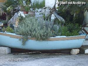 [P99] Aranjament floral intr-o barca, la o ultima taverna din port » foto by FLOREA ADRIAN
 - 
<span class="allrVoted glyphicon glyphicon-heart hidden" id="av583951"></span>
<a class="m-l-10 hidden" id="sv583951" onclick="voting_Foto_DelVot(,583951,17638)" role="button">șterge vot <span class="glyphicon glyphicon-remove"></span></a>
<a id="v9583951" class=" c-red"  onclick="voting_Foto_SetVot(583951)" role="button"><span class="glyphicon glyphicon-heart-empty"></span> <b>LIKE</b> = Votează poza</a> <img class="hidden"  id="f583951W9" src="/imagini/loader.gif" border="0" /><span class="AjErrMes hidden" id="e583951ErM"></span>