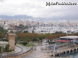 [P34] Panorama asupra Portului din Palma, statia de unde se pleaca spre Ibiza si spre Barcelona cat si Paseo Maritimo undeva in zare cu multitudinea de hoteluri.  » foto by AnAlina*
 - 
<span class="allrVoted glyphicon glyphicon-heart hidden" id="av483058"></span>
<a class="m-l-10 hidden" id="sv483058" onclick="voting_Foto_DelVot(,483058,17664)" role="button">șterge vot <span class="glyphicon glyphicon-remove"></span></a>
<a id="v9483058" class=" c-red"  onclick="voting_Foto_SetVot(483058)" role="button"><span class="glyphicon glyphicon-heart-empty"></span> <b>LIKE</b> = Votează poza</a> <img class="hidden"  id="f483058W9" src="/imagini/loader.gif" border="0" /><span class="AjErrMes hidden" id="e483058ErM"></span>