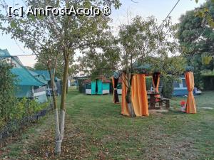 [P01] foisor pt oaspeti cazati la cort » foto by ioanasilvia
 - 
<span class="allrVoted glyphicon glyphicon-heart hidden" id="av1502041"></span>
<a class="m-l-10 hidden" id="sv1502041" onclick="voting_Foto_DelVot(,1502041,17708)" role="button">șterge vot <span class="glyphicon glyphicon-remove"></span></a>
<a id="v91502041" class=" c-red"  onclick="voting_Foto_SetVot(1502041)" role="button"><span class="glyphicon glyphicon-heart-empty"></span> <b>LIKE</b> = Votează poza</a> <img class="hidden"  id="f1502041W9" src="/imagini/loader.gif" border="0" /><span class="AjErrMes hidden" id="e1502041ErM"></span>