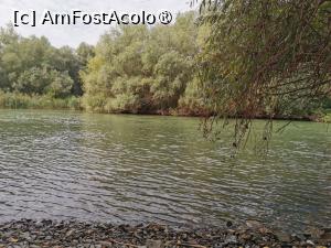 [P04] Dunarea pe canale » foto by ioanasilvia
 - 
<span class="allrVoted glyphicon glyphicon-heart hidden" id="av1502044"></span>
<a class="m-l-10 hidden" id="sv1502044" onclick="voting_Foto_DelVot(,1502044,17708)" role="button">șterge vot <span class="glyphicon glyphicon-remove"></span></a>
<a id="v91502044" class=" c-red"  onclick="voting_Foto_SetVot(1502044)" role="button"><span class="glyphicon glyphicon-heart-empty"></span> <b>LIKE</b> = Votează poza</a> <img class="hidden"  id="f1502044W9" src="/imagini/loader.gif" border="0" /><span class="AjErrMes hidden" id="e1502044ErM"></span>