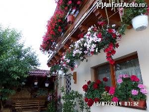 [P02] Casa Ana -o pensiune frumoasă ca o floare, în fundal - terasa » foto by Alina53
 - 
<span class="allrVoted glyphicon glyphicon-heart hidden" id="av581298"></span>
<a class="m-l-10 hidden" id="sv581298" onclick="voting_Foto_DelVot(,581298,17814)" role="button">șterge vot <span class="glyphicon glyphicon-remove"></span></a>
<a id="v9581298" class=" c-red"  onclick="voting_Foto_SetVot(581298)" role="button"><span class="glyphicon glyphicon-heart-empty"></span> <b>LIKE</b> = Votează poza</a> <img class="hidden"  id="f581298W9" src="/imagini/loader.gif" border="0" /><span class="AjErrMes hidden" id="e581298ErM"></span>