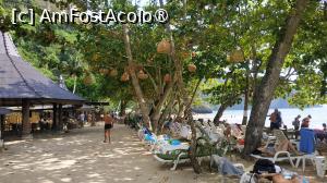 [P27]  -- <small>// FĂRĂ DESCRIERE</small> » foto by elenaadina
 - 
<span class="allrVoted glyphicon glyphicon-heart hidden" id="av1524859"></span>
<a class="m-l-10 hidden" id="sv1524859" onclick="voting_Foto_DelVot(,1524859,17822)" role="button">șterge vot <span class="glyphicon glyphicon-remove"></span></a>
<a id="v91524859" class=" c-red"  onclick="voting_Foto_SetVot(1524859)" role="button"><span class="glyphicon glyphicon-heart-empty"></span> <b>LIKE</b> = Votează poza</a> <img class="hidden"  id="f1524859W9" src="/imagini/loader.gif" border="0" /><span class="AjErrMes hidden" id="e1524859ErM"></span>